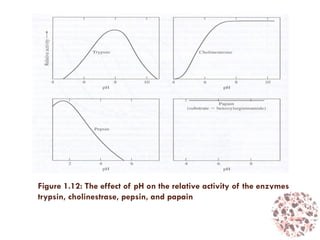 Figure 1.12: The effect of pH on the relative activity of the enzymes
trypsin, cholinestrase, pepsin, and papain
 