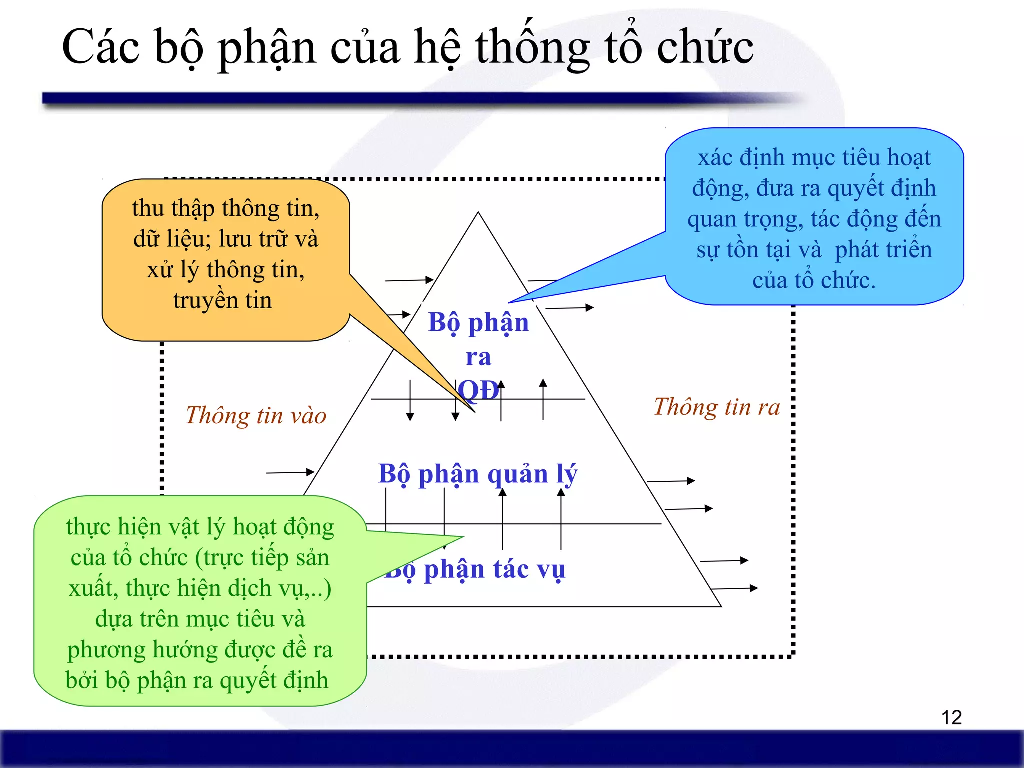 12
Các bộ phận của hệ thống tổ chức
Bộ phận
ra
QĐ
Bộ phận quản lý
Bộ phận tác vụ
Môi truờng
xác định mục tiêu hoạt
động, đưa ra quyết định
quan trọng, tác động đến
sự tồn tại và phát triển
của tổ chức.
thực hiện vật lý hoạt động
của tổ chức (trực tiếp sản
xuất, thực hiện dịch vụ,..)
dựa trên mục tiêu và
phương hướng được đề ra
bởi bộ phận ra quyết định
thu thập thông tin,
dữ liệu; lưu trữ và
xử lý thông tin,
truyền tin
Thông tin vào Thông tin ra
 