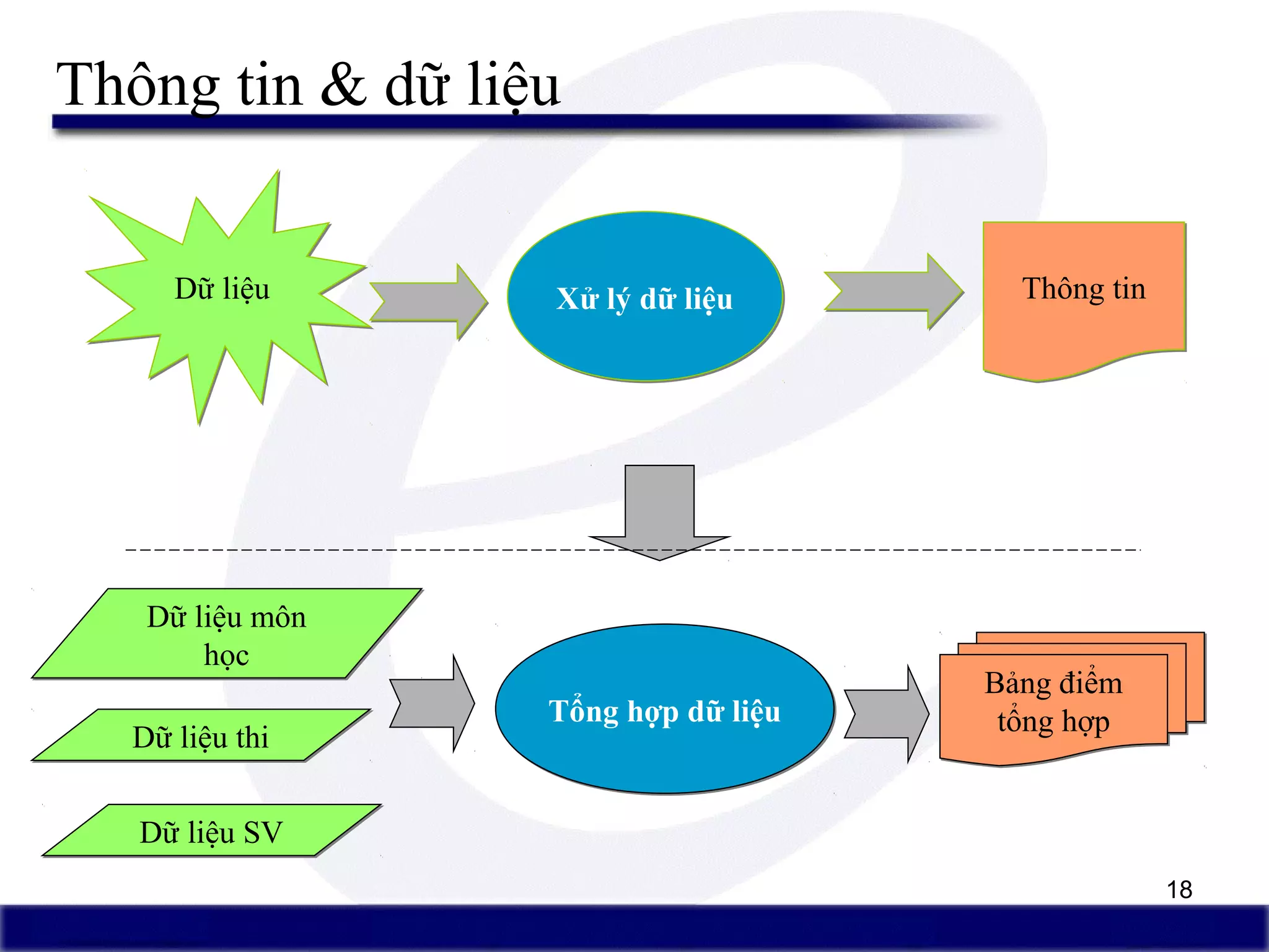 18
Thông tin & dữ liệu
Dữ liệuDữ liệu Xử lý dữ liệuXử lý dữ liệu Thông tinThông tin
Dữ liệu môn
học
Dữ liệu môn
học
Dữ liệu thiDữ liệu thi
Tổng hợp dữ liệuTổng hợp dữ liệu
Bảng điểm
tổng hợp
Bảng điểm
tổng hợp
Dữ liệu SVDữ liệu SV
 