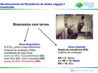 Monitoramento da Resistência de Aedes aegypti a
Inseticidas




          Bioensaios com larvas




                Dose-diagnóstica
  (2 X CL99 para a cepa-referência)                 Dose-resposta
  Critérios de avaliação (OMS)            Razão de resistência (RR)
  mortalidade da cepa local:              Critérios de avaliação
  acima de 98%: Susceptibilidade (SS)
  entre 80 e 98%: Verif. requerida (VR)   RR < 5 : Baixa
  abaixo de 80%: Resistência (RR)         5 < RR < 10: Média
                                          RR > 10: Alta
 