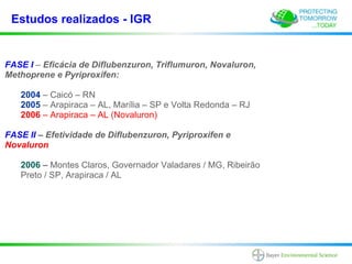 Estudos realizados - IGR


FASE I – Eficácia de Diflubenzuron, Triflumuron, Novaluron,
Methoprene e Pyriproxifen:

   2004 – Caicó – RN
   2005 – Arapiraca – AL, Marília – SP e Volta Redonda – RJ
   2006 – Arapiraca – AL (Novaluron)

FASE II – Efetividade de Diflubenzuron, Pyriproxifen e
Novaluron

   2006 – Montes Claros, Governador Valadares / MG, Ribeirão
   Preto / SP, Arapiraca / AL
 