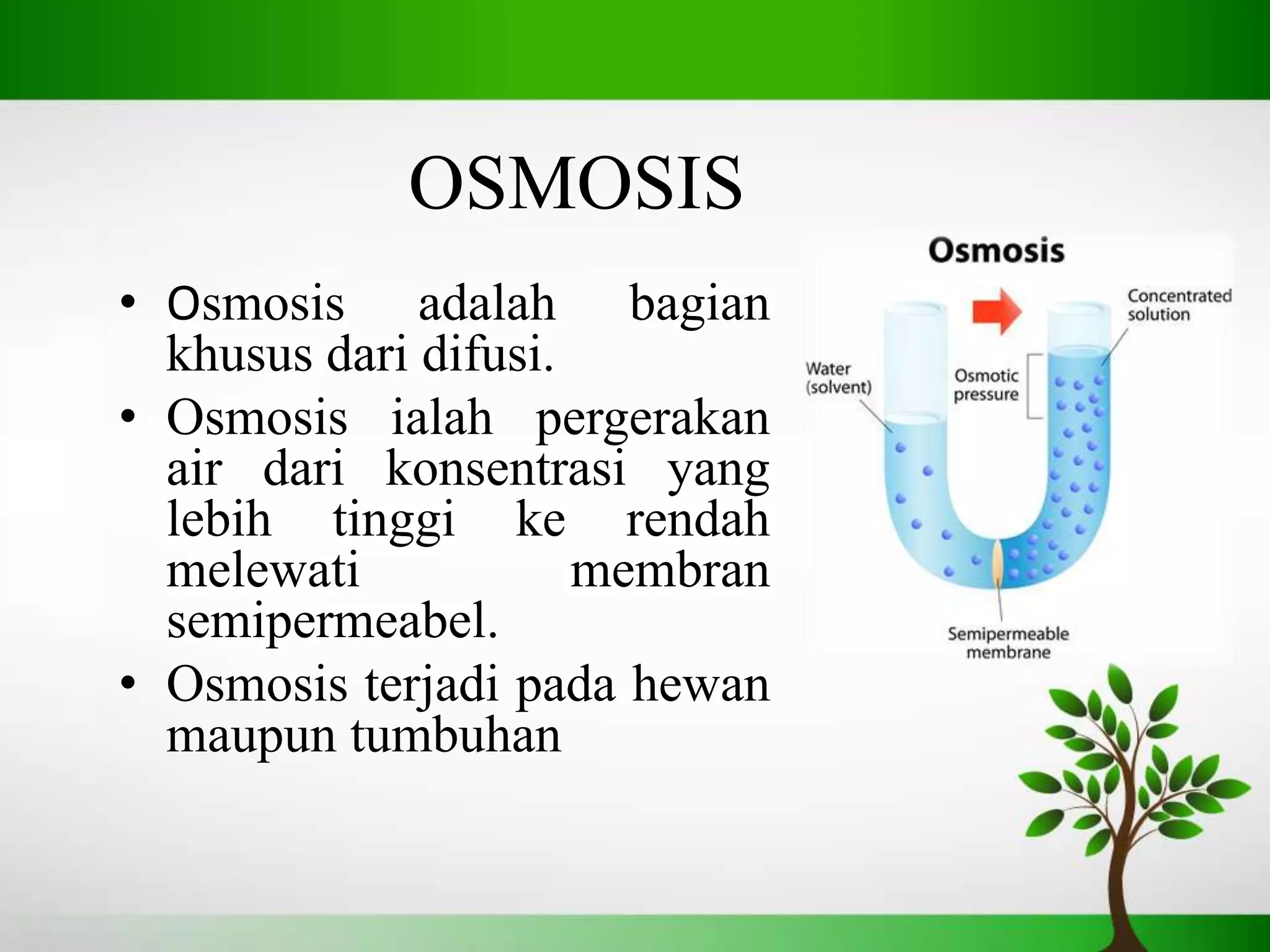 Omosis Rp PTT OMOSIS.pptx