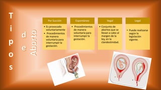 Por Succión
• Es provocado
voluntariamente
• Procedimientos
de manera
voluntaria para
interrumpir la
gestación.
Espontáneo
• Procedimientos
de manera
voluntaria para
interrumpir la
gestación.
Ilegal
• Conjunto de
abortos que se
llevan a cabo al
margen de la
ley, en la
clandestinidad.
Legal
• Puede realizarse
según la
legislación
vigente.
 