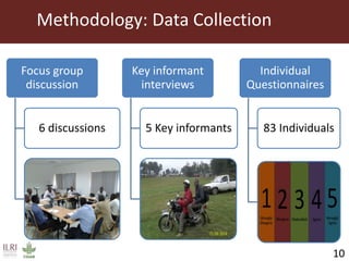 Influence of information sharing within the Tanzania Dairy Development Forum on nurturing regional platforms