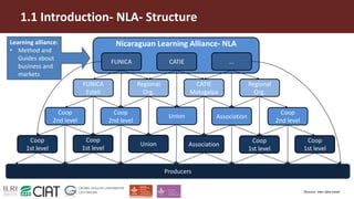 Influence of trust on capacity development within the members and influenced groups of the Nicaraguan Learning Alliance