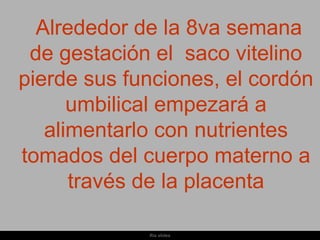 Alrededor de la 8va semana
 de gestación el saco vitelino
pierde sus funciones, el cordón
      umbilical empezará a
   alimentarlo con nutrientes
tomados del cuerpo materno a
      través de la placenta

             Ria slides
 