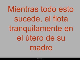 Mientras todo esto
  sucede, el flota
tranquilamente en
   el útero de su
       madre
        Ria slides
 