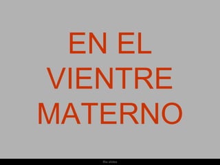 EN EL
VIENTRE
MATERNO
   Ria slides
 