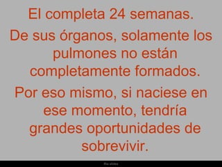 El completa 24 semanas.
De sus órganos, solamente los
      pulmones no están
  completamente formados.
Por eso mismo, si naciese en
     ese momento, tendría
  grandes oportunidades de
          sobrevivir.
             Ria slides
 