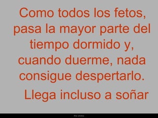 Como todos los fetos,
pasa la mayor parte del
   tiempo dormido y,
 cuando duerme, nada
 consigue despertarlo.
  Llega incluso a soñar
          Ria slides
 