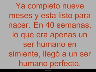 Ya completo nueve
meses y esta listo para
nacer. En 40 semanas,
 lo que era apenas un
     ser humano en
simiente, llegó a un ser
   humano perfecto.
          Ria slides
 