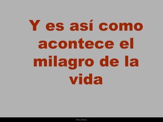 Y es así como
 acontece el
milagro de la
     vida

     Ria slides
 