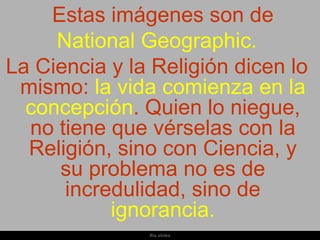 Estas imágenes son de
     National Geographic.
La Ciencia y la Religión dicen lo
 mismo: la vida comienza en la
  concepción. Quien lo niegue,
  no tiene que vérselas con la
  Religión, sino con Ciencia, y
     su problema no es de
      incredulidad, sino de
           ignorancia.
               Ria slides
 