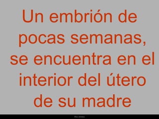 Un embrión de
 pocas semanas,
se encuentra en el
 interior del útero
   de su madre
        Ria slides
 