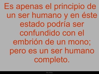 Es apenas el principio de
un ser humano y en éste
    estado podría ser
    confundido con el
  embrión de un mono;
 pero es un ser humano
        completo.
           Ria slides
 