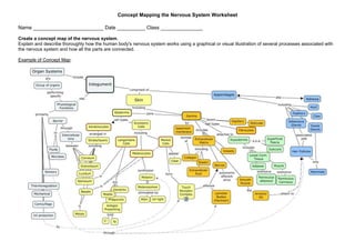 PT Worksheet Nervous System (Concept Mapping Activity) doc