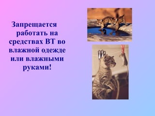 Запрещается работать на средствах ВТ во влажной одежде или влажными руками! 