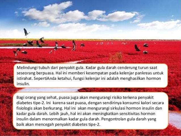 Puasa itu sehat