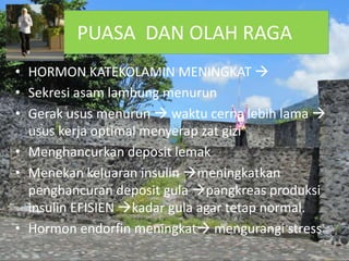 PUASA DAN OLAH RAGA
• HORMON KATEKOLAMIN MENINGKAT 
• Sekresi asam lambung menurun
• Gerak usus menurun  waktu cerna lebih lama 
usus kerja optimal menyerap zat gizi
• Menghancurkan deposit lemak
• Menekan keluaran insulin meningkatkan
penghancuran deposit gula pangkreas produksi
insulin EFISIEN kadar gula agar tetap normal.
• Hormon endorfin meningkat mengurangi stress
 