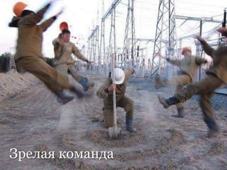 Зрелая команда
 