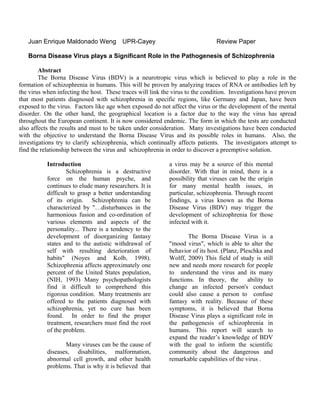 Juan Enrique Maldonado Weng           UPR-Cayey                             Review Paper

   Borna Disease Virus plays a Significant Role in the Pathogenesis of Schizophrenia

        Abstract
        The Borna Disease Virus (BDV) is a neurotropic virus which is believed to play a role in the
formation of schizophrenia in humans. This will be proven by analyzing traces of RNA or antibodies left by
the virus when infecting the host. These traces will link the virus to the condition. Investigations have proven
that most patients diagnosed with schizophrenia in specific regions, like Germany and Japan, have been
exposed to the virus. Factors like age when exposed do not affect the virus or the development of the mental
disorder. On the other hand, the geographical location is a factor due to the way the virus has spread
throughout the European continent. It is now considered endemic. The form in which the tests are conducted
also affects the results and must to be taken under consideration. Many investigations have been conducted
with the objective to understand the Borna Disease Virus and its possible roles in humans. Also, the
investigations try to clarify schizophrenia, which continually affects patients. The investigators attempt to
find the relationship between the virus and schizophrenia in order to discover a preemptive solution.

           Introduction                                     a virus may be a source of this mental
                   Schizophrenia is a destructive           disorder. With that in mind, there is a
           force on the human psyche, and                   possibility that viruses can be the origin
           continues to elude many researchers. It is       for many mental health issues, in
           difficult to grasp a better understanding        particular, schizophrenia. Through recent
           of its origin. Schizophrenia can be              findings, a virus known as the Borna
           characterized by "…disturbances in the           Disease Virus (BDV) may trigger the
           harmonious fusion and co-ordination of           development of schizophrenia for those
           various elements and aspects of the              infected with it.
           personality... There is a tendency to the
           development of disorganizing fantasy                    The Borna Disease Virus is a
           states and to the autistic withdrawal of         "mood virus", which is able to alter the
           self with resulting deterioration of             behavior of its host. (Planz, Pleschka and
           habits" (Noyes and Kolb, 1998).                  Wolff, 2009) This field of study is still
           Schizophrenia affects approximately one          new and needs more research for people
           percent of the United States population,         to understand the virus and its many
           (NIH, 1993) Many psychopathologists              functions. In theory, the ability to
           find it difficult to comprehend this             change an infected person's conduct
           rigorous condition. Many treatments are          could also cause a person to confuse
           offered to the patients diagnosed with           fantasy with reality. Because of these
           schizophrenia, yet no cure has been              symptoms, it is believed that Borna
           found. In order to find the proper               Disease Virus plays a significant role in
           treatment, researchers must find the root        the pathogenesis of schizophrenia in
           of the problem.                                  humans. This report will search to
                                                            expand the reader’s knowledge of BDV
                  Many viruses can be the cause of          with the goal to inform the scientific
           diseases, disabilities, malformation,            community about the dangerous and
           abnormal cell growth, and other health           remarkable capabilities of the virus .
           problems. That is why it is believed that
 
