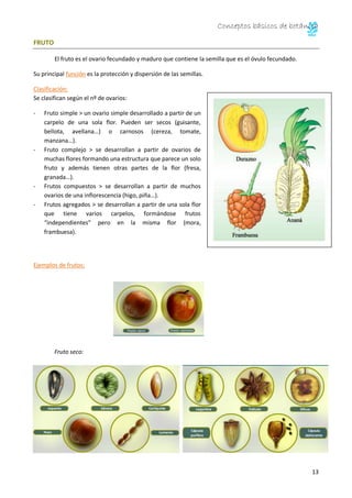 Conceptos básicos de botánica 
14 
Fruto carnoso: 
SEMILLA 
La semilla es el embrión de la planta que ha alcanzado la madu...