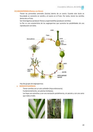 Conceptos básicos de botánica 
30 
Raíces secundarias que superan la raíz principal (fasciculada). 
Los componentes de la ...