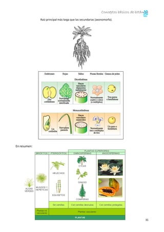 Conceptos básicos de botánica
32
6. ADAPTACIONES
ACUÁTICAS
Son plantas hidrófilas porque viven rodeadas total o parcialmen...
