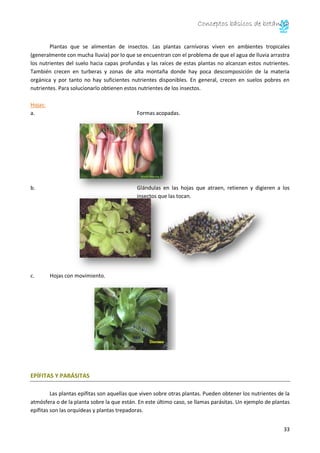 Conceptos básicos de botánica
34
Hojas:
a. Espinas en el margen de la hoja para sujetarse.
Tallos:
a. Con zarcillos: Tallo...
