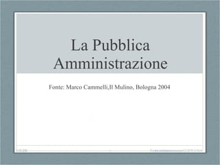 La Pubblica Amministrazione Fonte: Marco Cammelli,Il Mulino, Bologna 2004  2-03-2010 Sintesi ed elaborazione a cura di G. BRUNA 