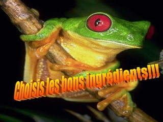 Choisis les bons ingrédients!!!