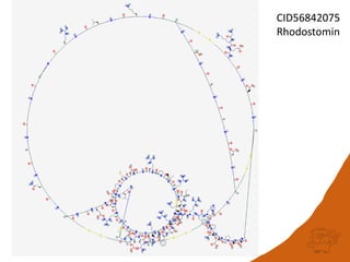 CID56842075
Rhodostomin
 