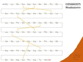 CID56842075
Rhodostomin
 