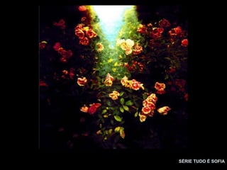 SÉRIE TUDO É SOFIA
 
