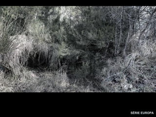 SÉRIE EUROPA
 