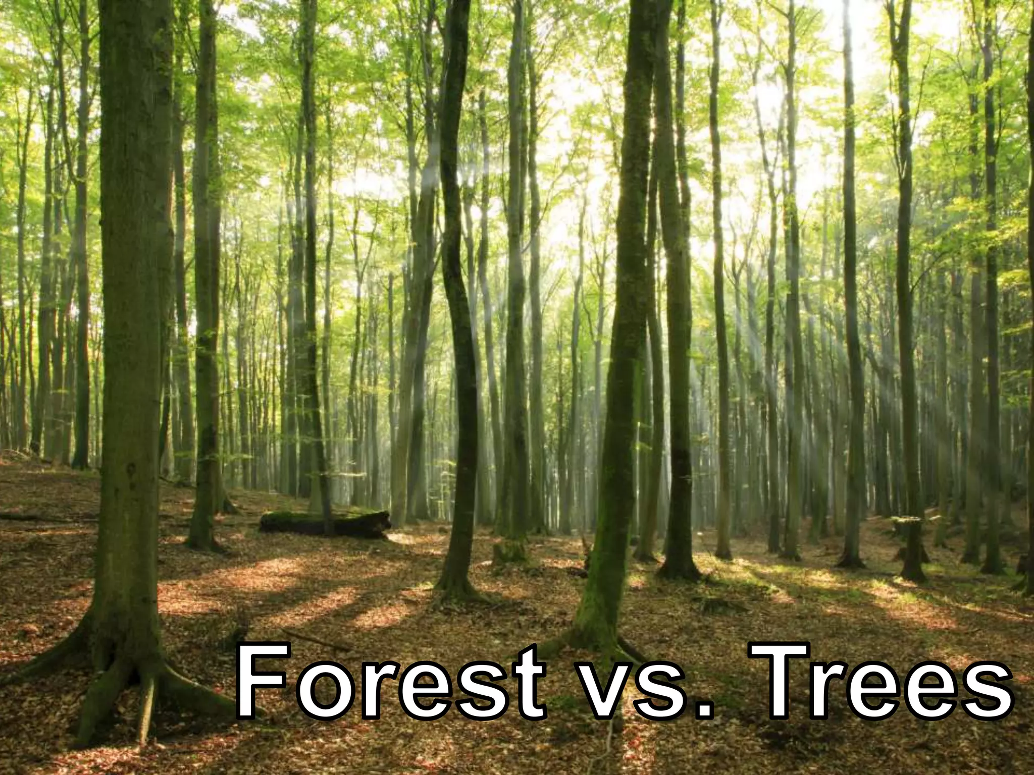 • Even the “Winner” is a Loser!
CONFIDENTIAL – DO NOT DISTRIBUTE 21
 