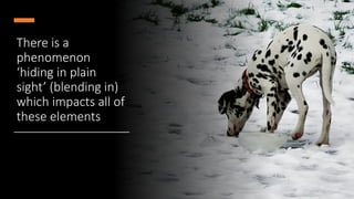 There%is%a%
phenomenon%
‘hiding%in%plain%
sight’%(blending%in)%
which%impacts%all%of%
these%elements
 