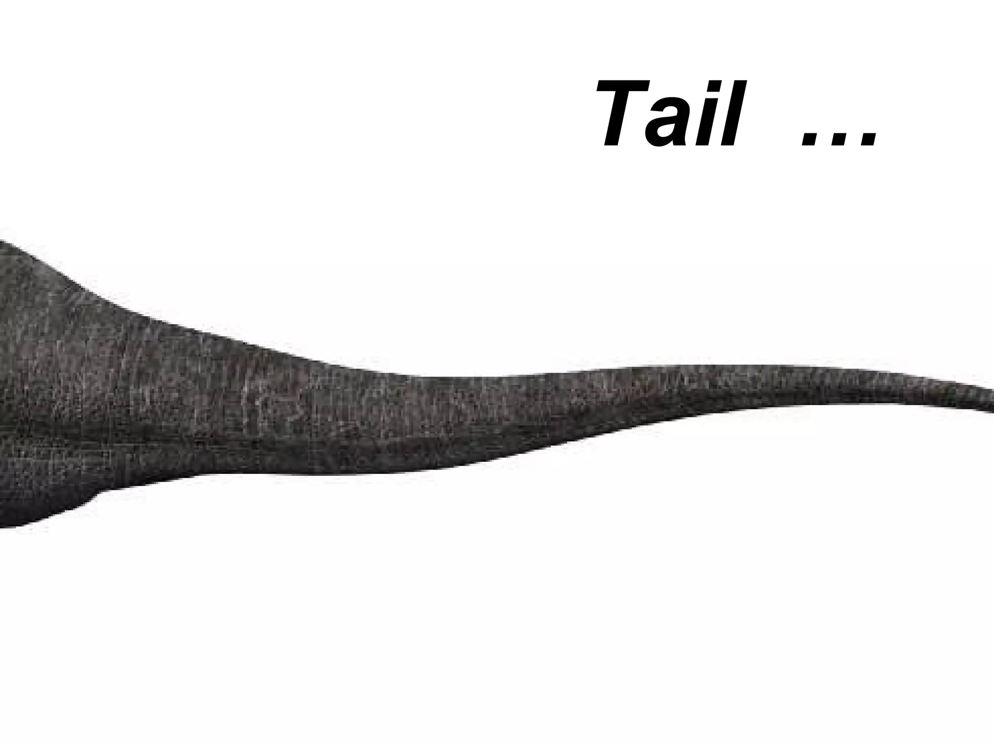Tail  …  