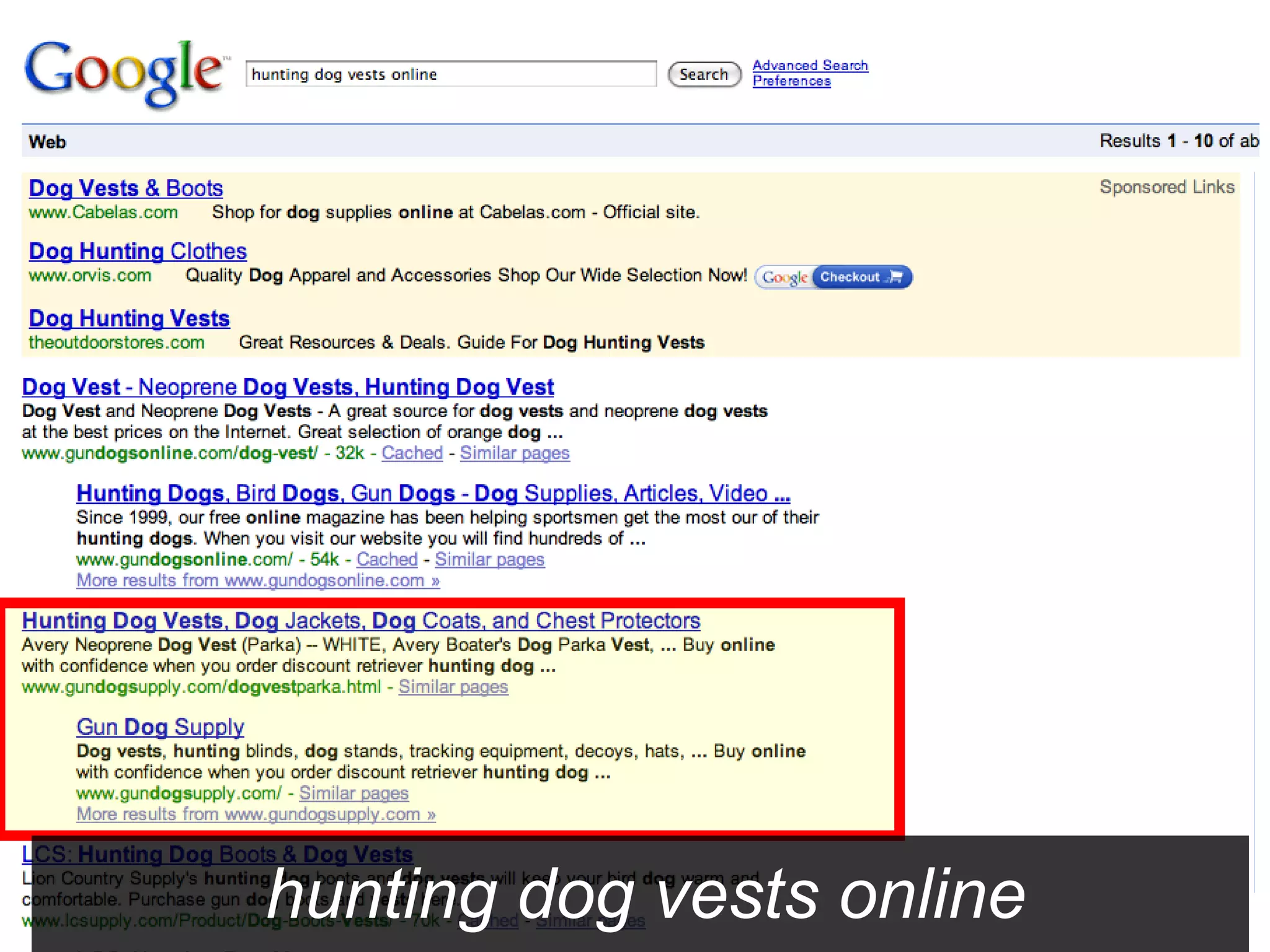 hunting dog vests online 