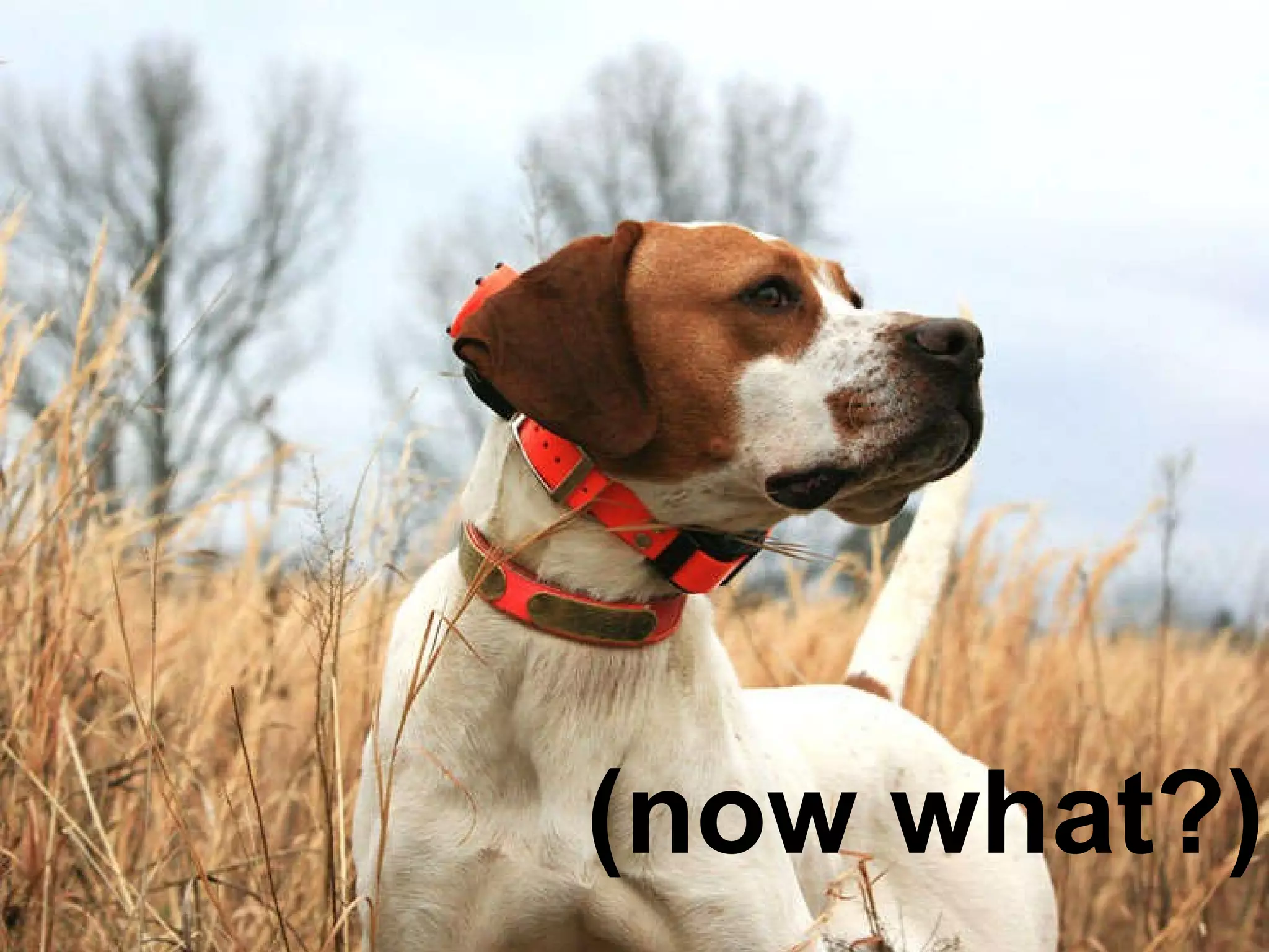 You are the expert (now what?) 