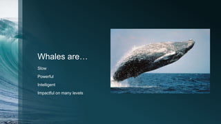 Whales are…
Slow
Powerful
Intelligent
Impactful on many levels
 