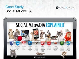 Case Study
Social MEowDIA
 