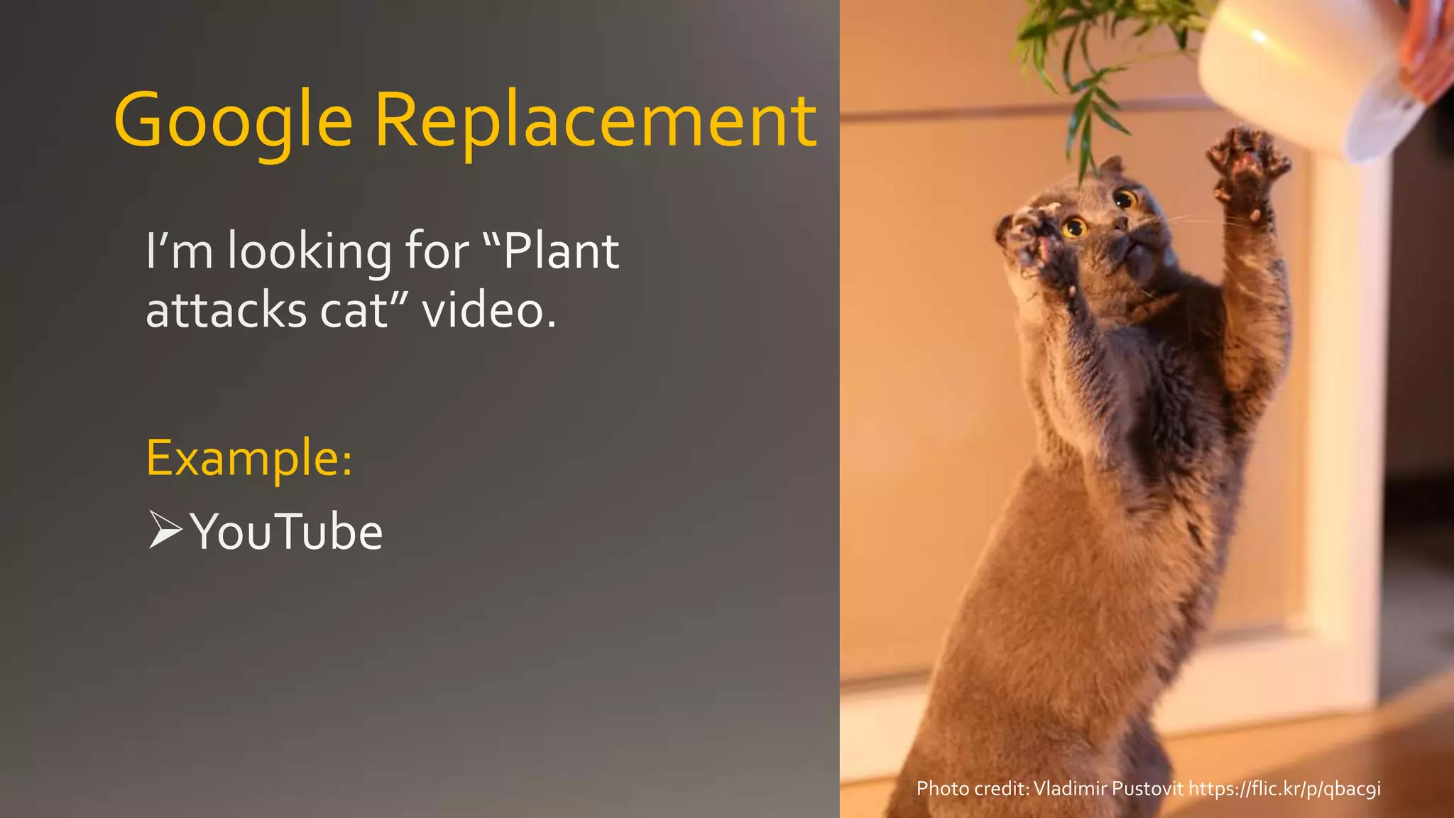 Google Replacement
Example:
Photo credit:Vladimir Pustovit https://flic.kr/p/qbac9i
 