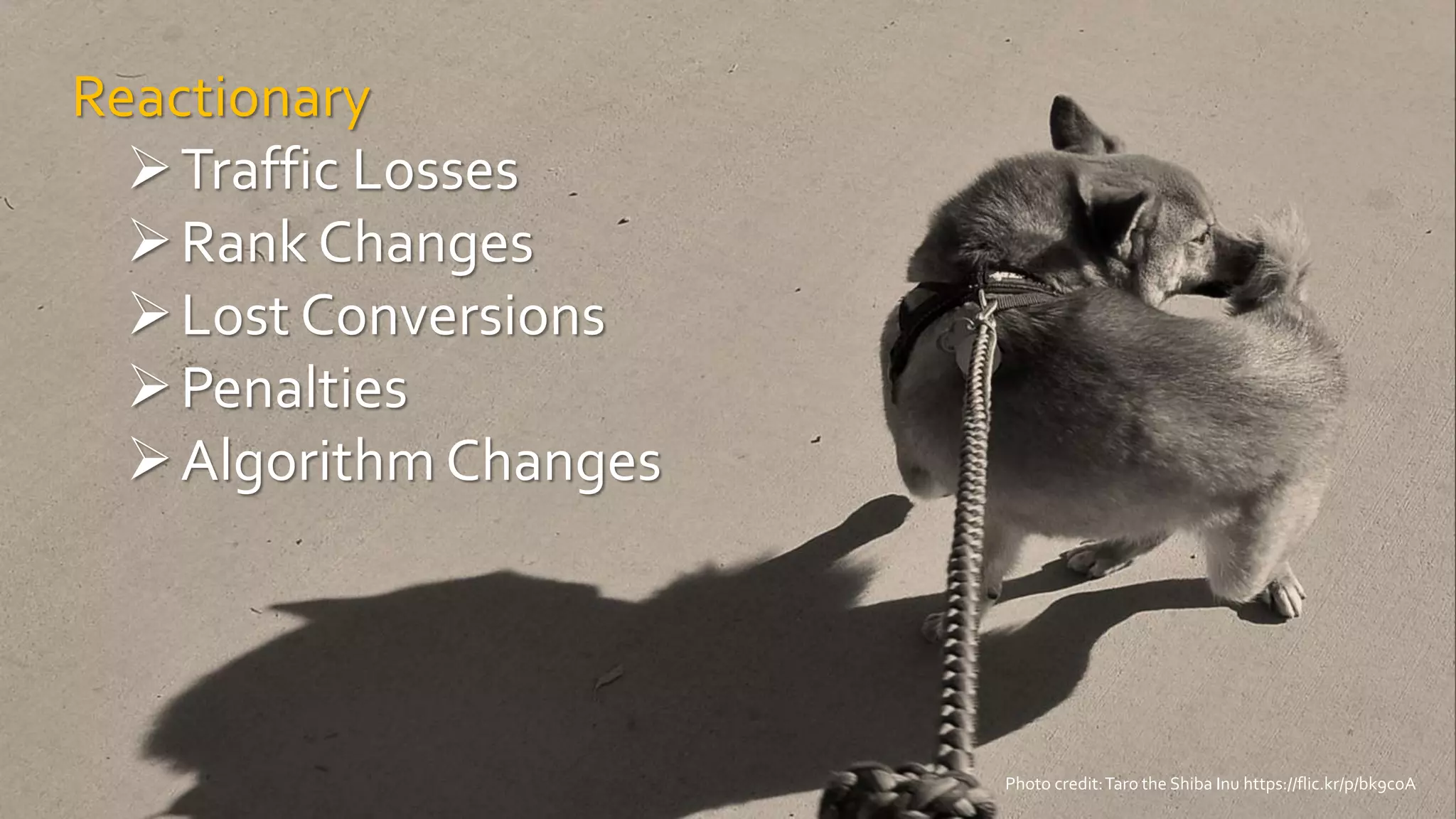 Reactionary
Traffic Losses
Rank Changes
Lost Conversions
Penalties
Algorithm Changes
Photo credit:Taro the Shiba Inu https://flic.kr/p/bk9coA
 