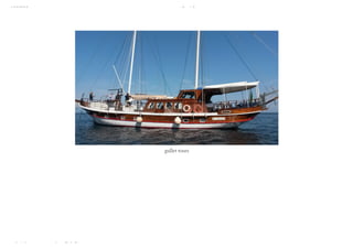 10/8/2018 Spark Page
https://spark.adobe.com/sp/design/page/722e9fe8-0029-492e-9ada-b97a7344160a 19/35
gullet tours
 