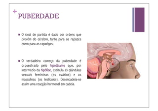 +
    PUBERDADE

      Osinal de partida é dado por ordens que
      provêm do cérebro, tanto para os rapazes
      como para as raparigas.



      O  verdadeiro começo da puberdade é
      orquestrado pelo hipotálamo que, por
      intermédio da hipófise, estimula as glândulas
      sexuais femininas (os ovários) e as
      masculinas (os testículos). Desencadeia-se
      assim uma reacção hormonal em cadeia.
 