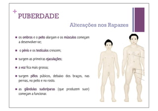 +
    PUBERDADE
                                         Alterações nos Rapazes

  os   ombros e o peito alargam e os músculos começam
     a desenvolver-se;

    o pénis e os testículos crescem;

  surgem    as primeiras ejaculações;

  a   voz fica mais grossa;

  surgem     pêlos púbicos, debaixo dos braços, nas
     pernas, no peito e no rosto.

  as   glândulas sudoríparas (que produzem suor)
     começam a funcionar.
 