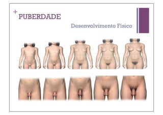+
    PUBERDADE
                Desenvolvimento Físico
 