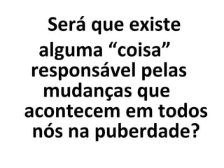 Será que existe
alguma “coisa”
responsável pelas
mudanças que
acontecem em todos
nós na puberdade?
 