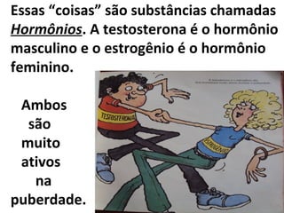 Essas “coisas” são substâncias chamadas
Hormônios. A testosterona é o hormônio
masculino e o estrogênio é o hormônio
feminino.
Ambos
são
muito
ativos
na
puberdade.
 
